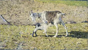 Feeding Prints: A Goat with her Kid, by Giovanni Segantini
