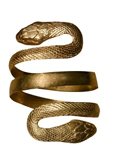 Crome Prints: Gold bracelet in the form of a snake