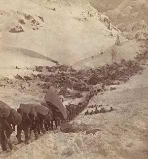 Steps Prints: Gold seekers climbing the Golden Stairs near the top of Chilkoot Pass