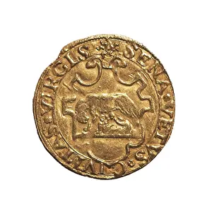 Tuscan Prints: Golden escudo of the Republic of Siena (1532-1536)