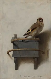 1650s Prints: The Goldfinch, 1654, by Carel Fabritius