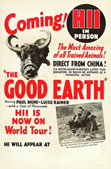 Bull Prints: THE GOOD EARTH, lower left