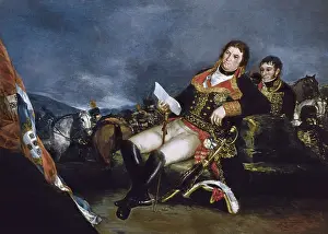 Sunlightportrait Prints: GOYA Y LUCIENTES, Francisco de (1746-1828)