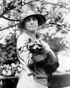 Grace Coolidge (1879-1957), First Lady 1923-1929; original caption: Mrs. Coolidge holding her pet raccoon, Rebecca, circa 1921-1923