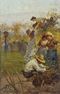 Work Prints: The Grape Harvest, by Angelo Dall'Oca Bianca