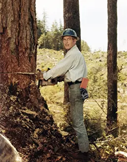 Movpor6 Prints: SOMETIMES A GREAT NOTION, Paul Newman, 1971