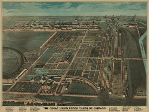 Pigs Prints: The Great Union Stock Yards of Chicago incorporated space for over 200