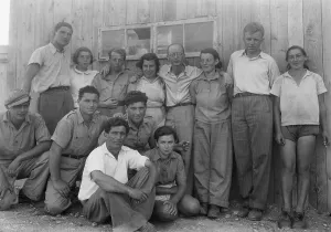Fodder Prints: Group of Jewish immigrants harvesting hay on the Ein Gev Kibbutz on the east side of the Sea of Galilee