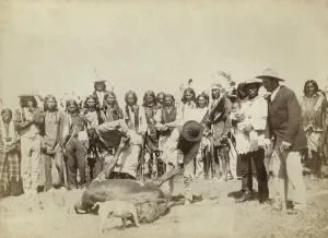 Costumes Prints: Group of Lakota skinning cattle