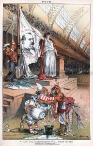 Candidate Prints: Grover Cleveland, and a female figure labeled 'Democratic Party' at the Democratic National Convention