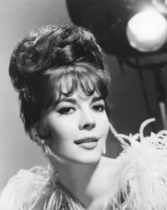 Stripper Prints: GYPSY, Natalie Wood, 1962