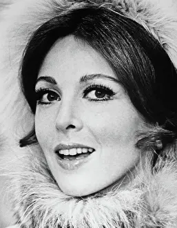 Tina Prints: THE HAPPY ENDING, Tina Louise, 1969