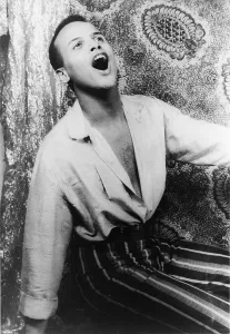Images Dated 10th August 2007: Harry Belafonte, portrait by Carl Van Vechten, February 18, 1954. 3c03726u