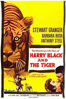 Granger Prints: HARRY BLACK AND THE TIGER, (aka Harry Black)