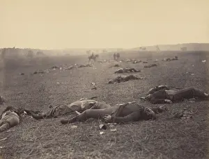 Alexander Prints: A HARVEST OF DEATH, GETTYSBURG