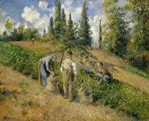 Digging Prints: The Harvest, Pontoise, by Camille Pissarro
