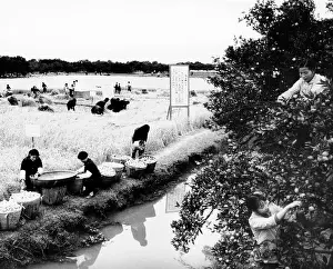 Ideology Prints: Harvest time in Chekiang, Red China during the Cultural Revolution