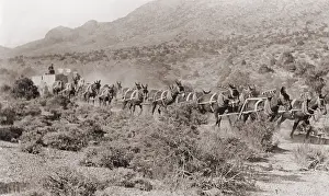 Metals Prints: Hauling ore by wagons with a fourteen mule team from Potosi mine, Nevada