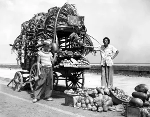 Cuban Prints: HAVANA: Cuban fruit peddlers in Havana