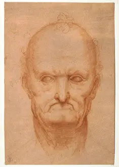 One Senior Man Only Prints: Head of an AgedOld man, by probably apprentice Leonardo da Vinci