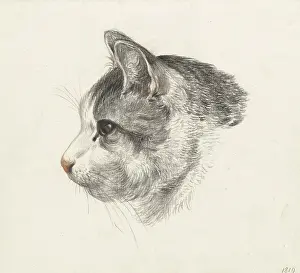 Mammals Prints: Head of a Cat, Facing Left, by Jean Bernard, 1819, Dutch chalk drawing. (BSLOC_2016_1_266)
