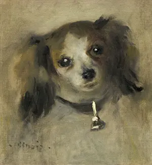 Auguste Prints: Head of a Dog, by Auguste Renoir