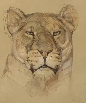 Wild Prints: Head of Lioness, Bernard Willem Wierink