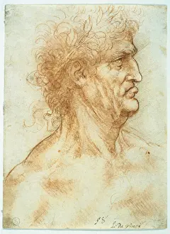 Pen And Ink Prints: Head of a man in profile, crowned with laurel
