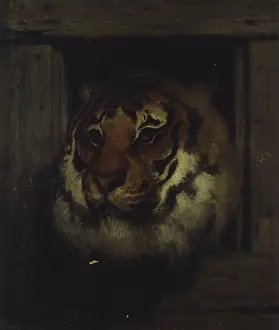 Stateliness Prints: Head of Tiger (Testa di tigre)