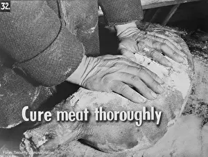 Safety Prints: Health and food safety, meat is not ready to be stored until it has been throughly cured and smoked