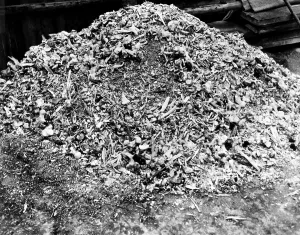 Death Prints: A heap of bones and ashes representing a single day's killing at the German Concentration Camp at Weimar