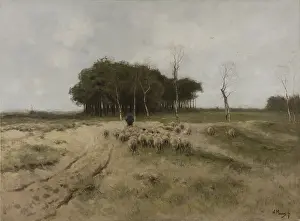 Shepherd Prints: On the Heath Near Laren, by Anton Mauve
