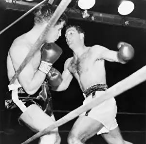 Heavyweights Prints: Heavyweight champion Rocky Marciano (right) backs Roland LaStarza against the ropes