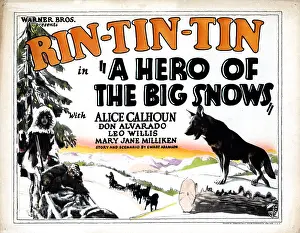 German Shepherd Prints: A HERO OF THE BIG SNOWS, Rin Tin Tin, 1926