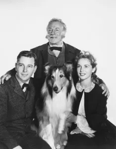 Gwenn Prints: HILLS OF HOME, front from left: Tom Drake, Lassie, Janet Leigh, Edmund Gwenn (rear), 1948
