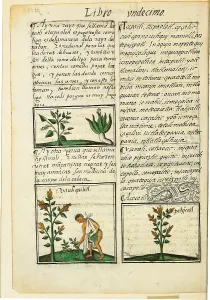 Text Prints: Historia General de las Cosas de Nueva Espaa Aztec Chronicles