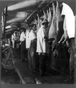 Meat Prints: Hog scraping rail. Meatpacking plant worker's remove hair from hog carcasses