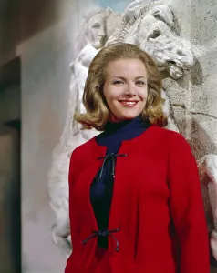 Cardigan Prints: HONOR BLACKMAN, 1960s