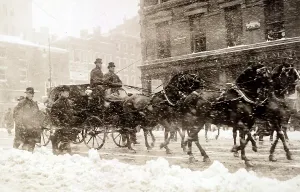 1900 1910 Prints: Horse drawn carriage carrying incoming President Taft