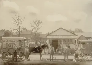 Mule Prints: Horse-drawn ice wagon and workers preparing for their day's work delivery ice for the ice box refrigerators ca