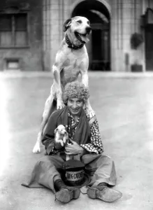 Images Dated 28th June 2005: HORSE FEATHERS, Harpo Marx, 1932
