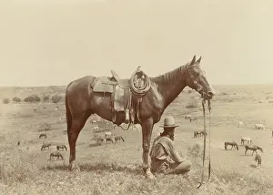 Texas Prints: The Horse Wrangler, by Erwin E