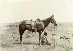 Images Dated 3rd November 2008: The Horse Wrangler, photograph by Erwin E. Smith, June 24, 1910