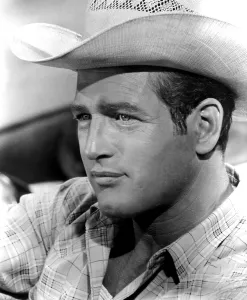Images Dated 3rd March 2011: HUD, Paul Newman, 1963