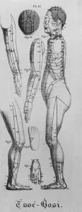 Woodcut Prints: Human figure shown in left profile with acupuncture points and meridians identified