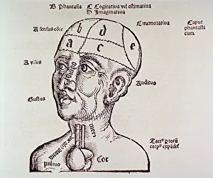Human Prints: Human head and shoulders with heart and brain shown; some of the senses and their corresponding body parts