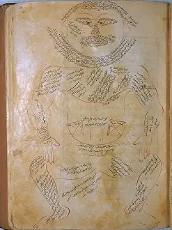 Muscles Prints: The human musculature, from MANSUR'S ANATOMY