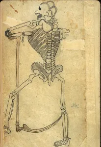 1700s Prints: Human skeleton leaning on a pedestal drawn in ink