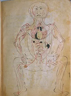 Iranian Prints: The human venous system, from MANSUR'S ANATOMY