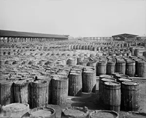 Commodities Prints: Hundreds of barrels on the wharf of Savannah, Georgia. Ca. 1904